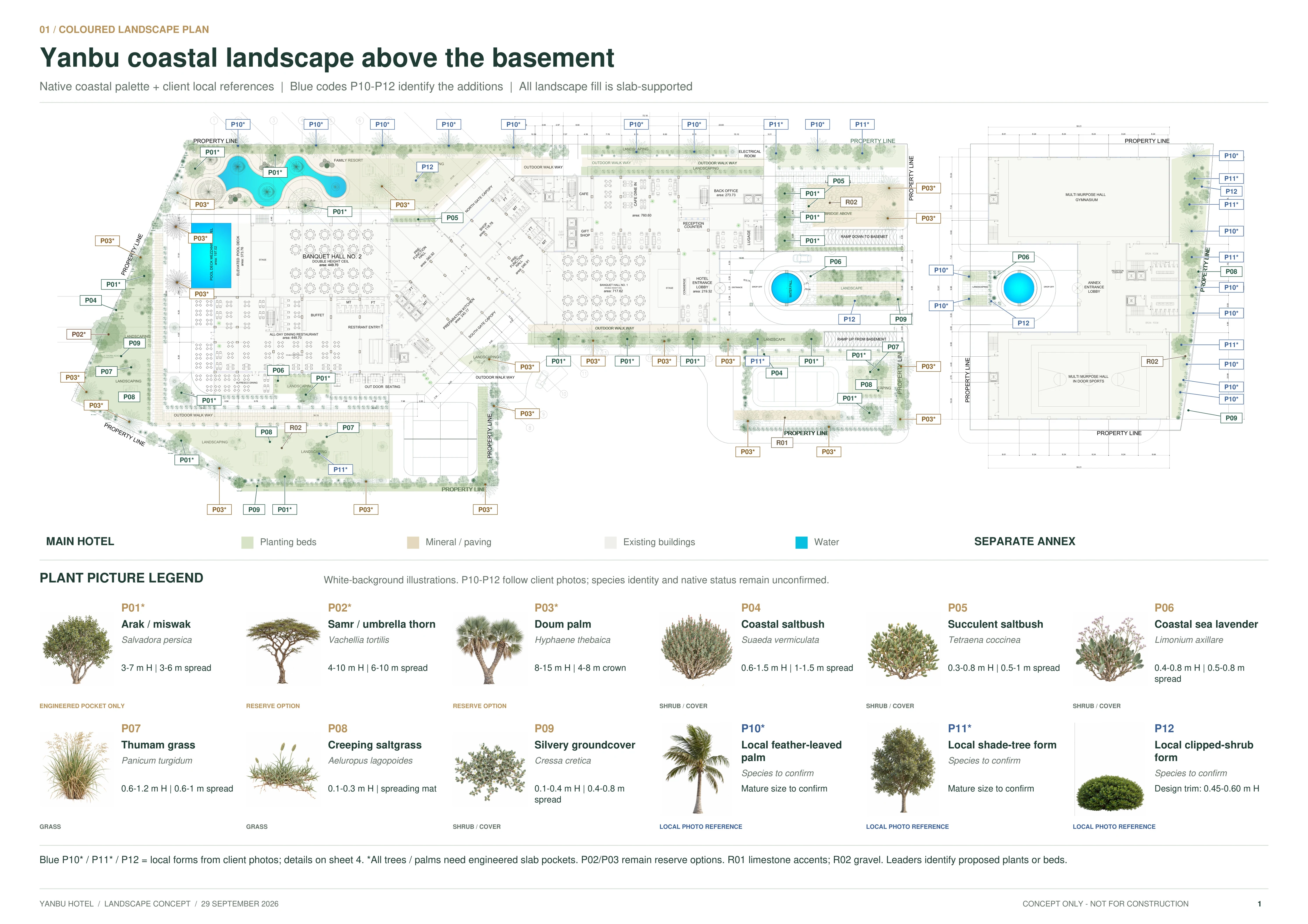 Supplied coloured landscape plan and plant legend. All planting fill is slab-supported; trees and palms require engineered pockets.